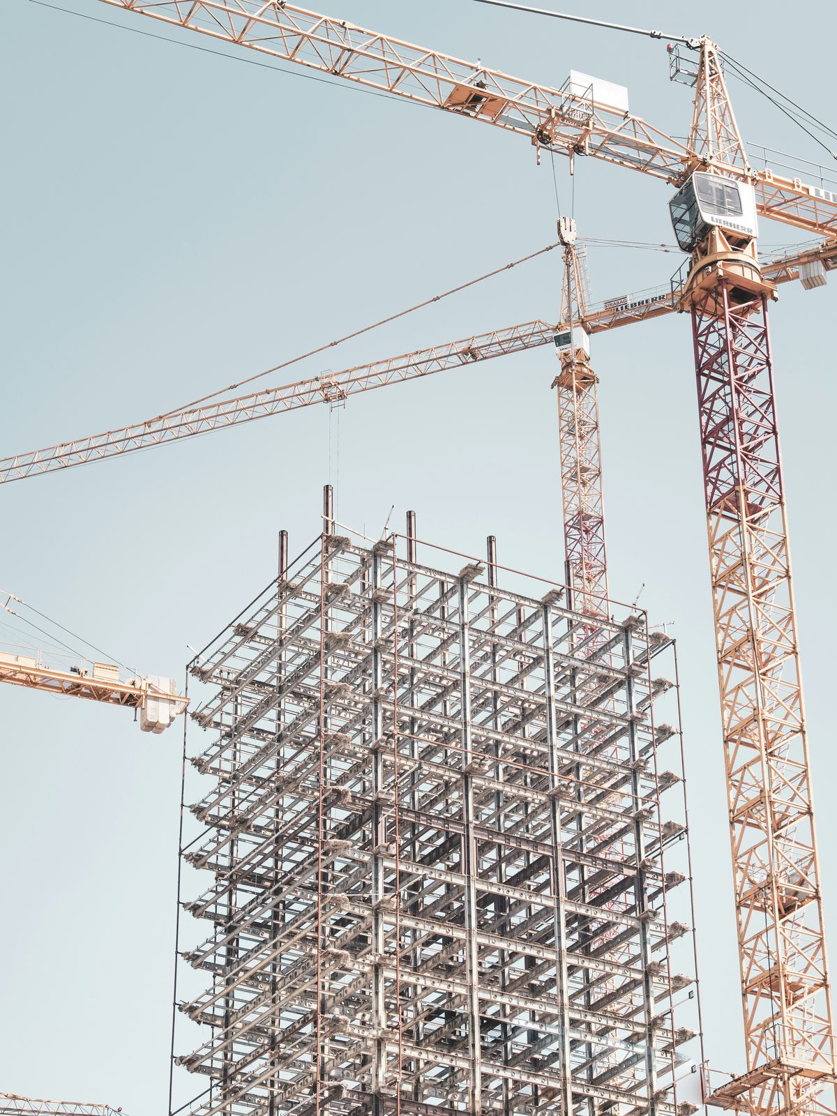 A steel-framed building under construction rising beside tower cranes